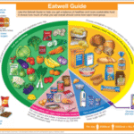 Supplements for a Balanced Diet: Essential Guidance