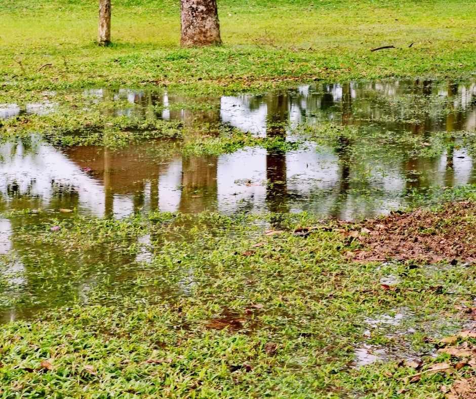 Stormwater Drain Solutions in Wollongong: Understanding Causes