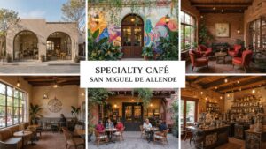 Hortus café ambiance