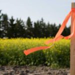 Subdivision Surveys: Essential Insights for Clyde North Land Division