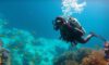 Big Blue Hole Diving Guide: Essential Tips for Belize