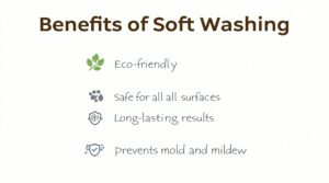 Soft Wash Housewashing Services in Chester Springs Now Offered