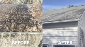 Understand the Vital Benefits of Soft Washing for Thorough Home Maintenance