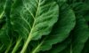 Collard Greens for a Wholesome Slow-Cooked Dinner