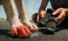 Pavement Safety Tips: Essential Summer Advice for Dogs