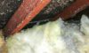 Asbestos Concerns: Essential Tips for Skip Hire Selection
