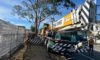 Crane-Assisted Tree Removal: An Edgeworth Case Study