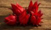 Hibiscus Flowers: Innovative Cooking Techniques to Try