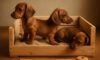 Puppy Comfort: Build a Cozy Crate for Your Dog