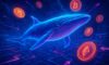 Whale Wallet Tracking: Proven Monitoring Techniques