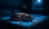 Temperature-Controlled Beds for Pets: Ultimate Comfort Solutions