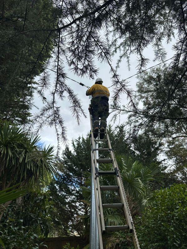 Electrical Defect Notice: Response in the Mid North Coast